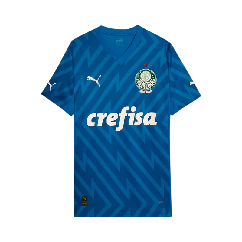 camisa-palmeiras-azul-goleiro-2024-puma (2)