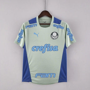 Camisa SE Palmeiras 2022/23 Training - ResPeita Sports 