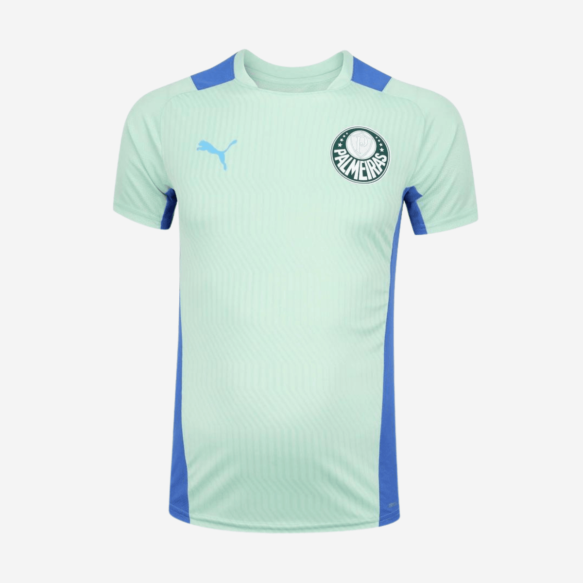 Camisa SE Palmeiras 2022/23 Training - ResPeita Sports 